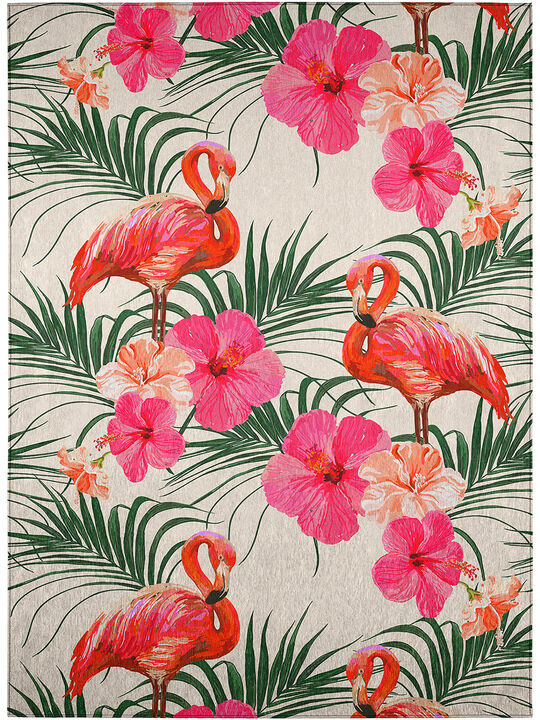 Tropics TC12 Collection