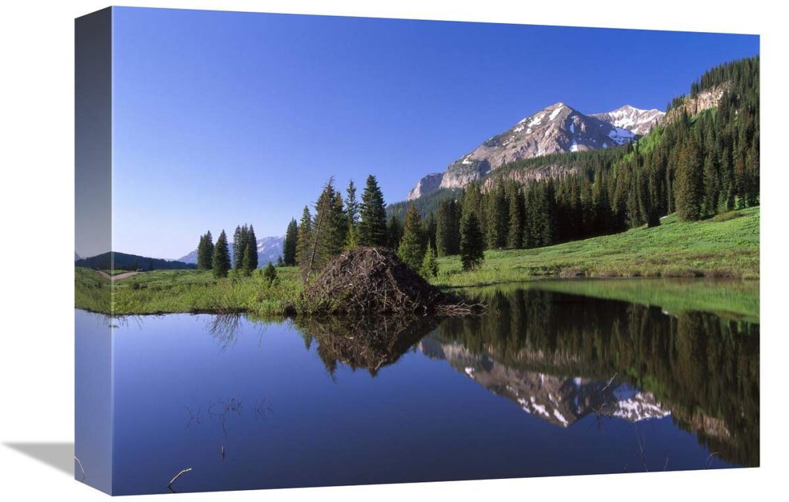 Gothic Mountain and Beaver Lodge, near Crested Butte, Colorado-Canvas Art-16x12