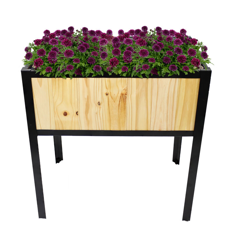 Steel-Framed Acacia Wood Raised Garden Bed