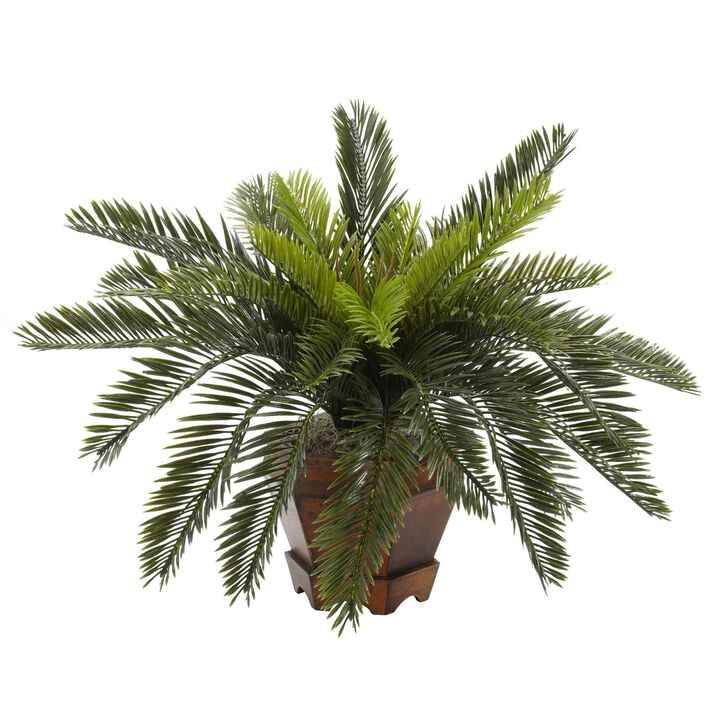 Nearly Natural Cycas w/Hexagon Vase
