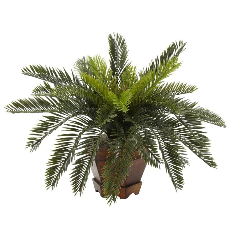 Nearly Natural Cycas w/Hexagon Vase