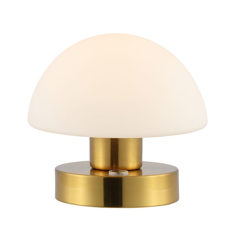 Zoe Bohemian Farmhouse Iron Rechargeable Integrated LED Table Lamp