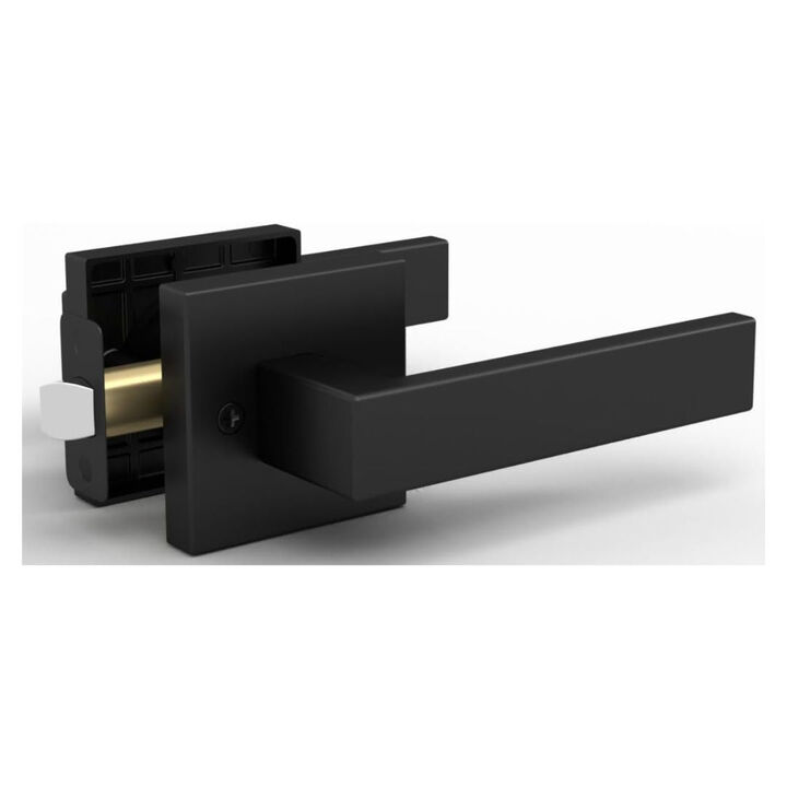 Mega Handles | Robell Passage Lever