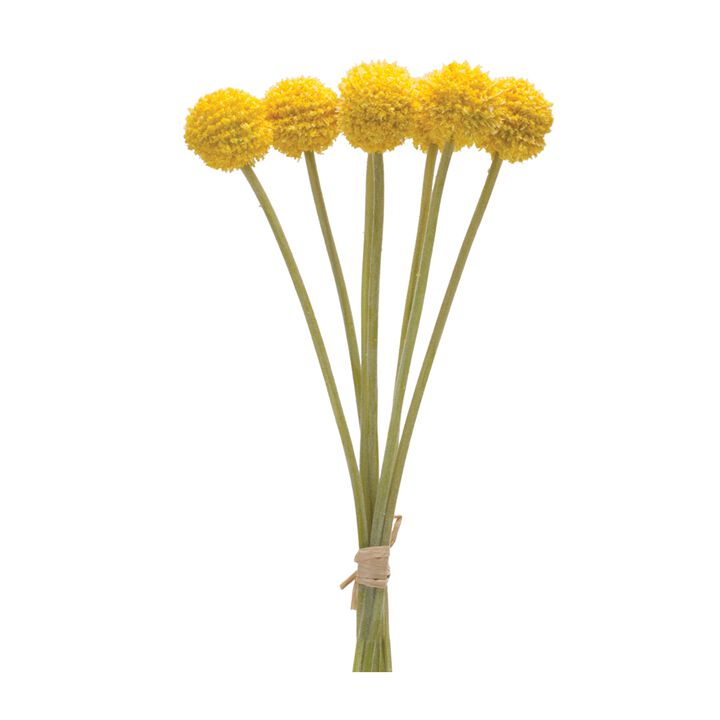 Floral Pod Bundle Set of 6 for Floral Arrangements and Craft Projects