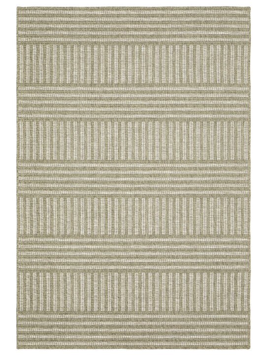 Tortuga 3'3" x 5' Beige Rug