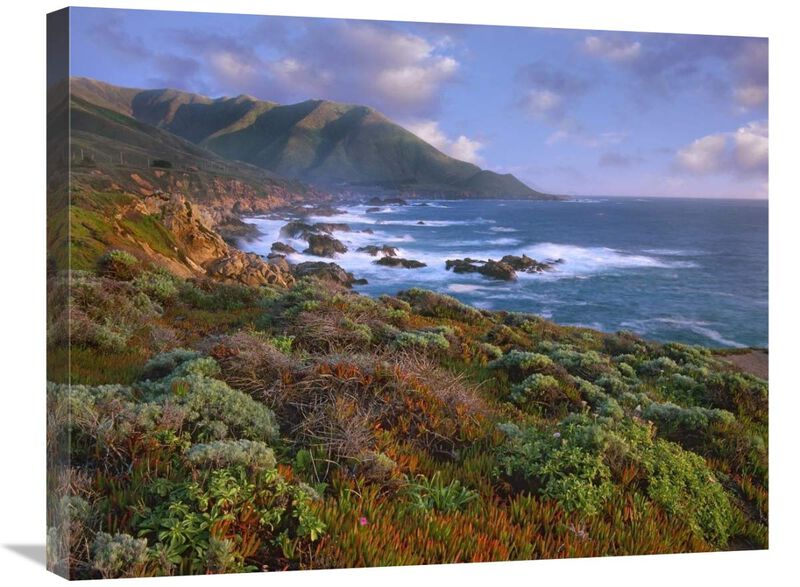 Cliffs and the Pacific Ocean, Garrapata State Beach, Big Sur, California-Canvas Art-28x22