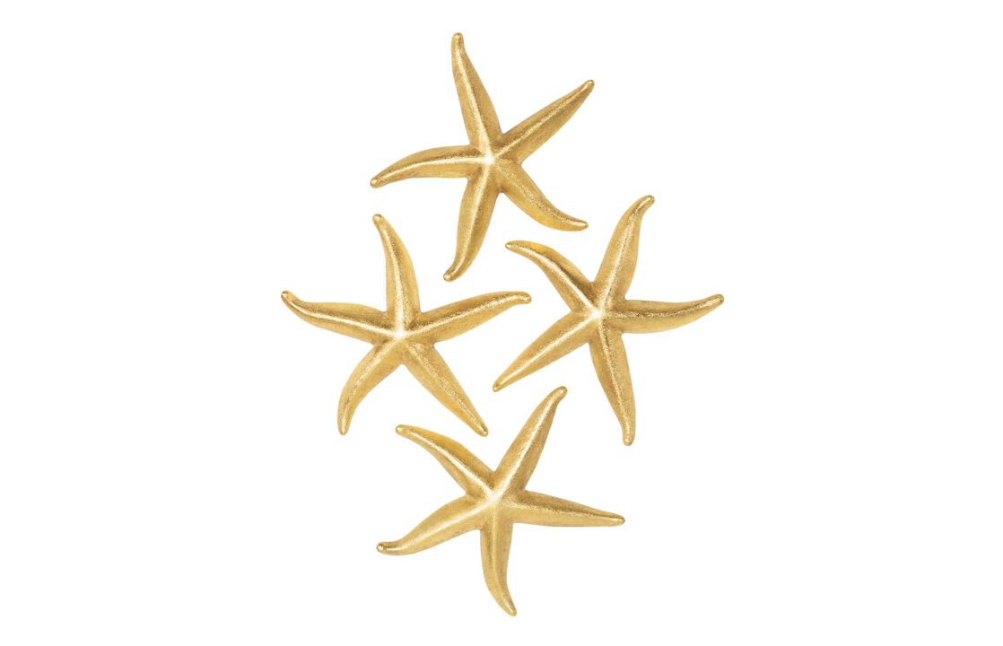Starfish Large Set of 4