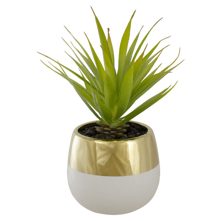 Sword Grass in Ceramic Pot H 17.15cm
