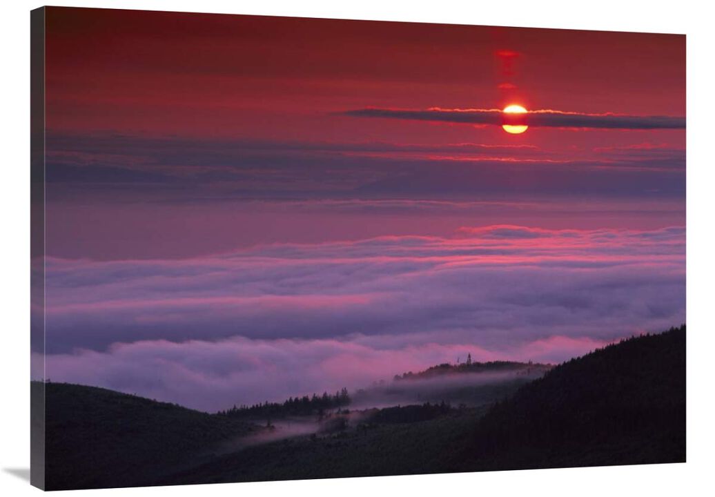Sunrise at Hurricane Ridge, Olympic National Park, Washington-Canvas Art-40x30