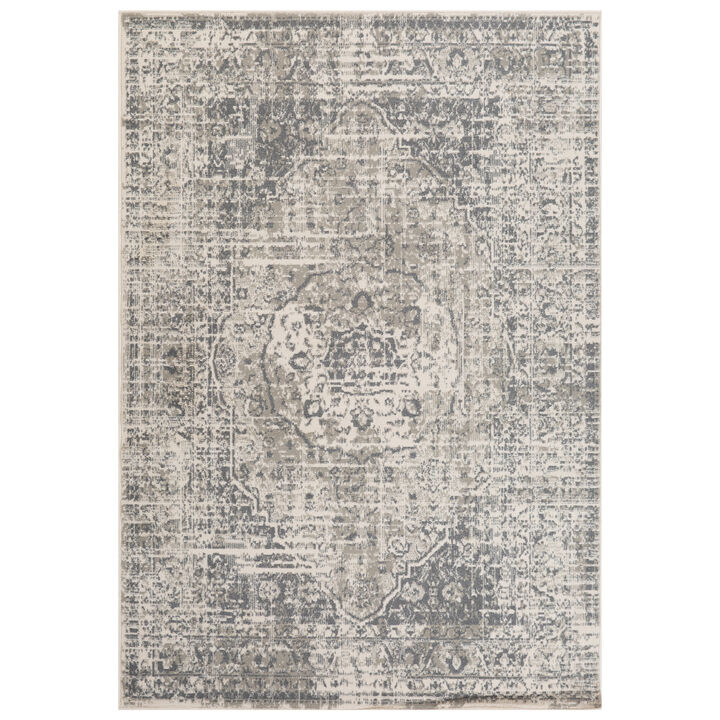 Alpine Dale Medium Gray Medallion Area Rug 7'10" x 10'2"