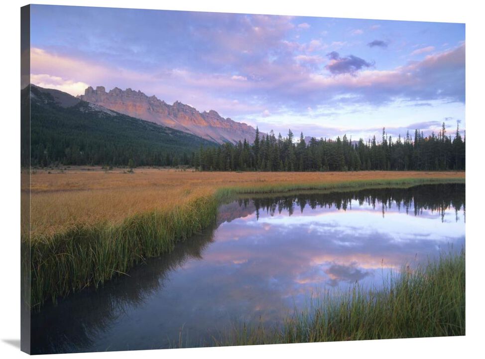 Dolomite Peak and Bow River backwaters, Banff National Park, Alberta-Canvas Art-40x30