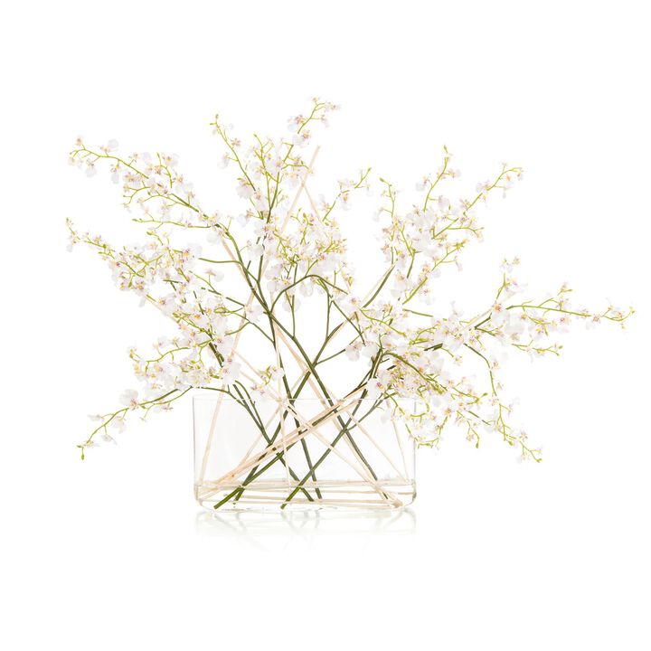 White Oncidium