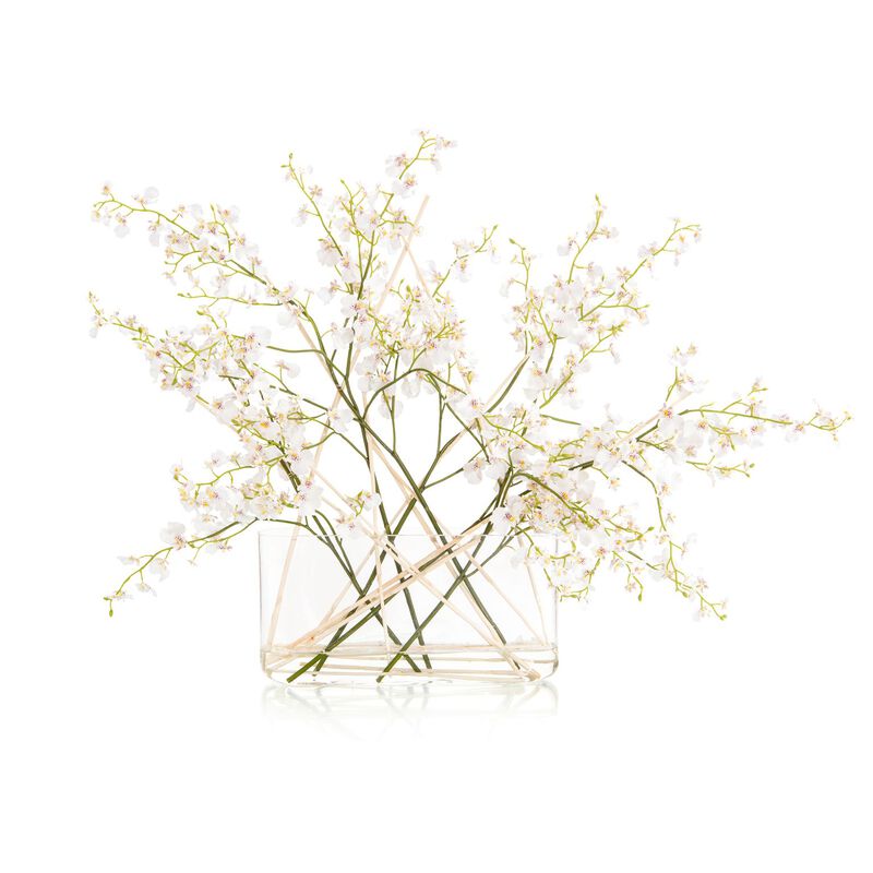 White Oncidium