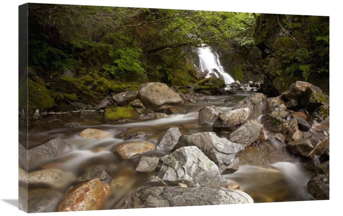 Unnamed waterfall along South Tongass Highway, Ketchikan, Alaska-Canvas Art-30x20