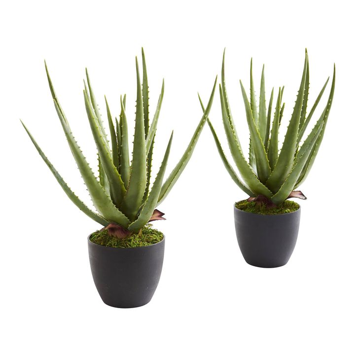 Nearly Natural 18-in Aloe Artificial Plant (Set of 2)