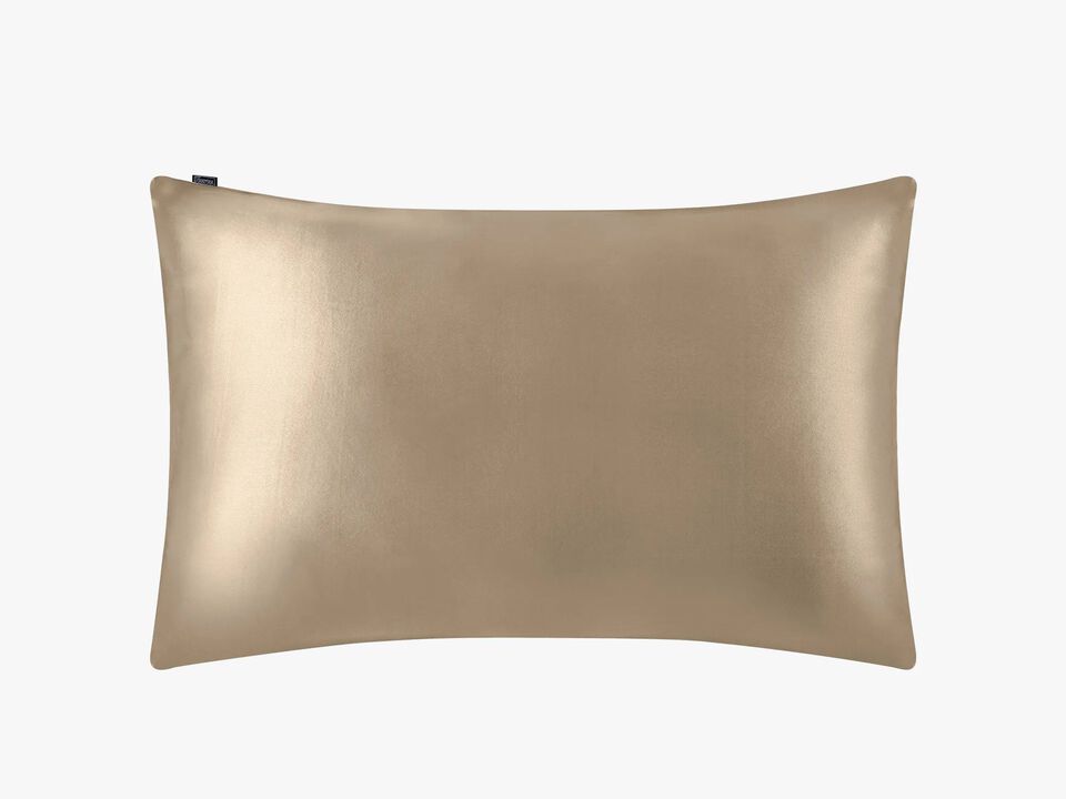 LilySilk 100% 19 Momme Pure Silk Pillowcase