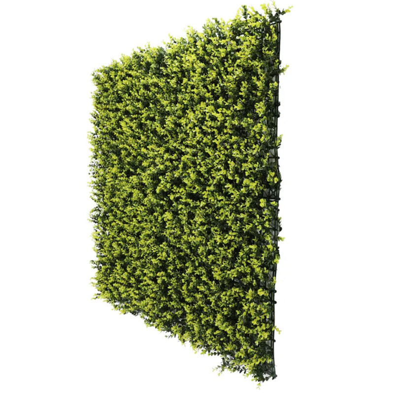 Yellow English Artificial Boxwood Wall 40" x 40" 11SQ FT Commercial Grade UV Resistant