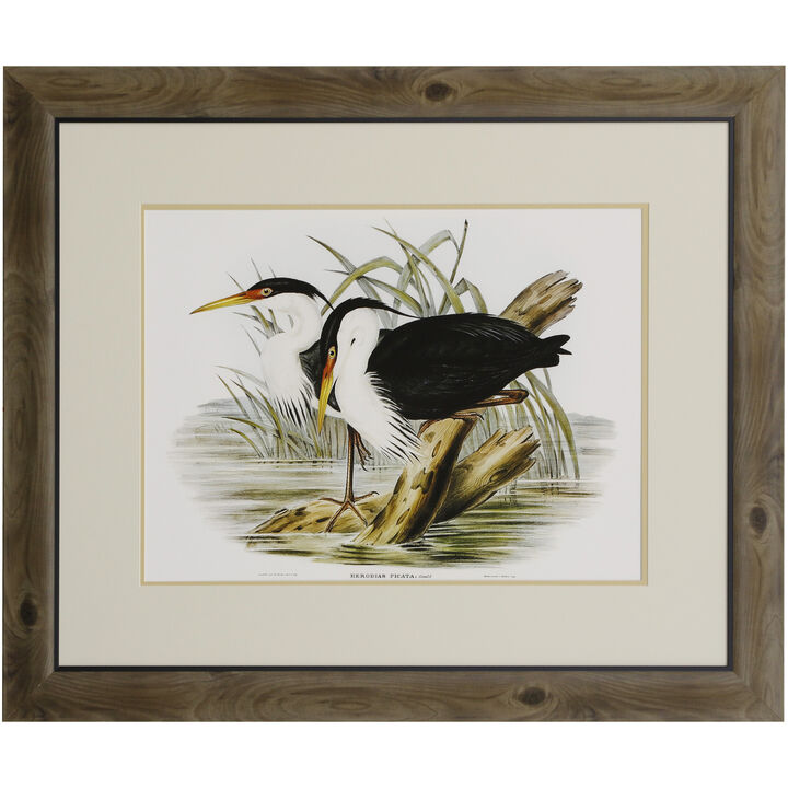 Waterbird Pairing II