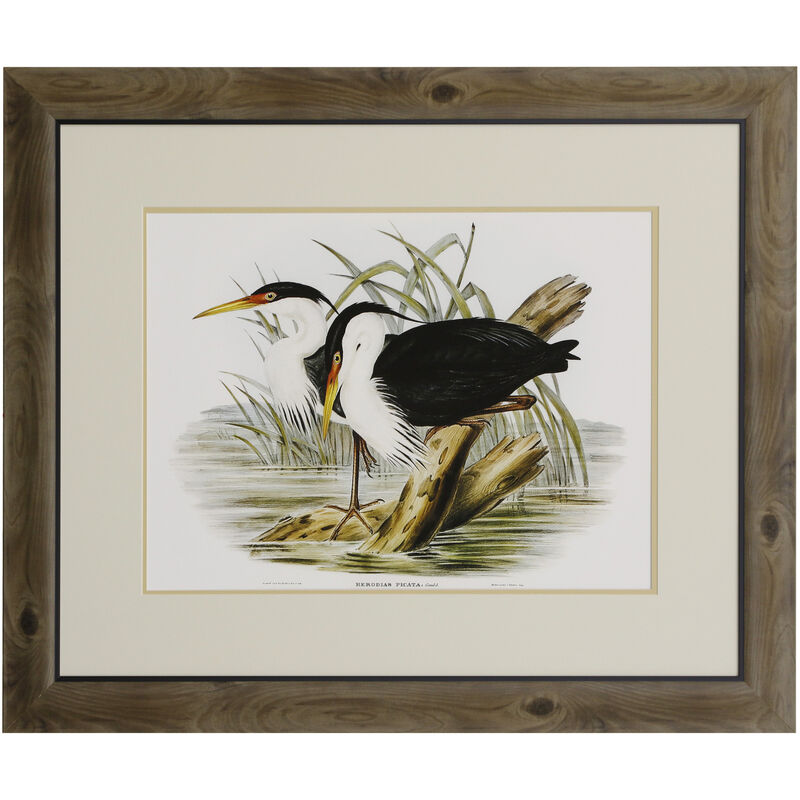 Waterbird Pairing II