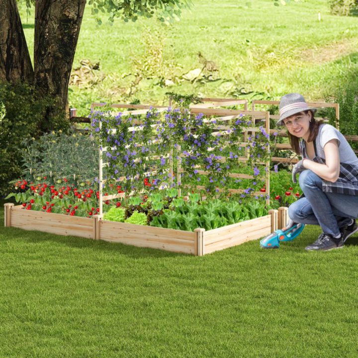 Hivvago Raised Garden Bed with 2 Planter Boxes and 3 Trellis