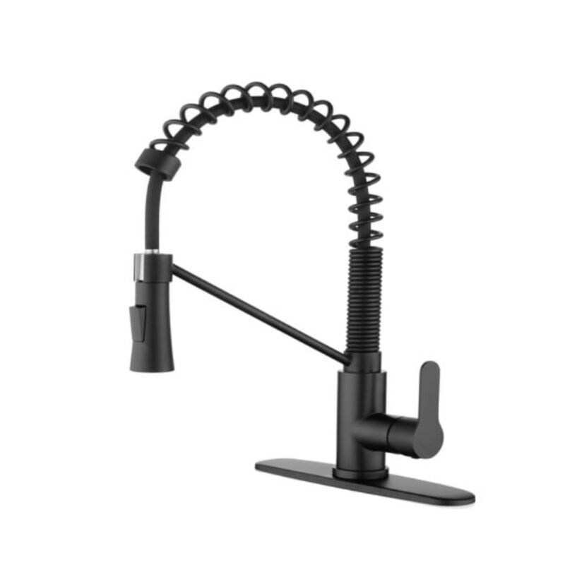 Single Handle Kitchen Sink Faucet with Pull Down Sprayer and Soap Dispenser