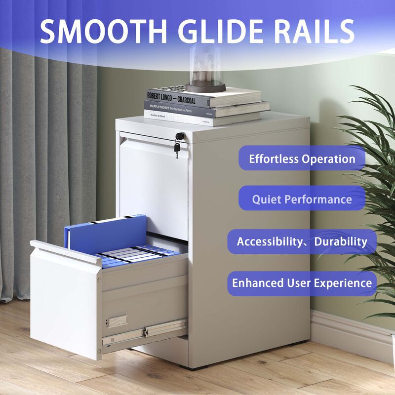 Locking Metal 2-Drawer Lateral File Cabinet for Letter and  Documents