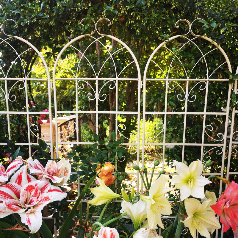 Streamdale Metal Garden Trellis 86.7" X 19.7" for Climbing Plants