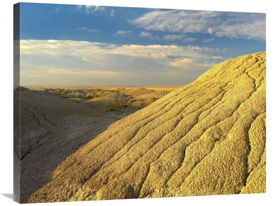 Detail of erosional feature, Badlands National Park, South Dakota-Canvas Art-35x28