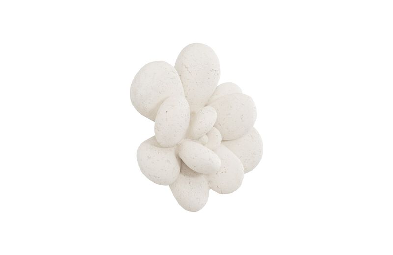 Oviferum Succulent Wall Art in White