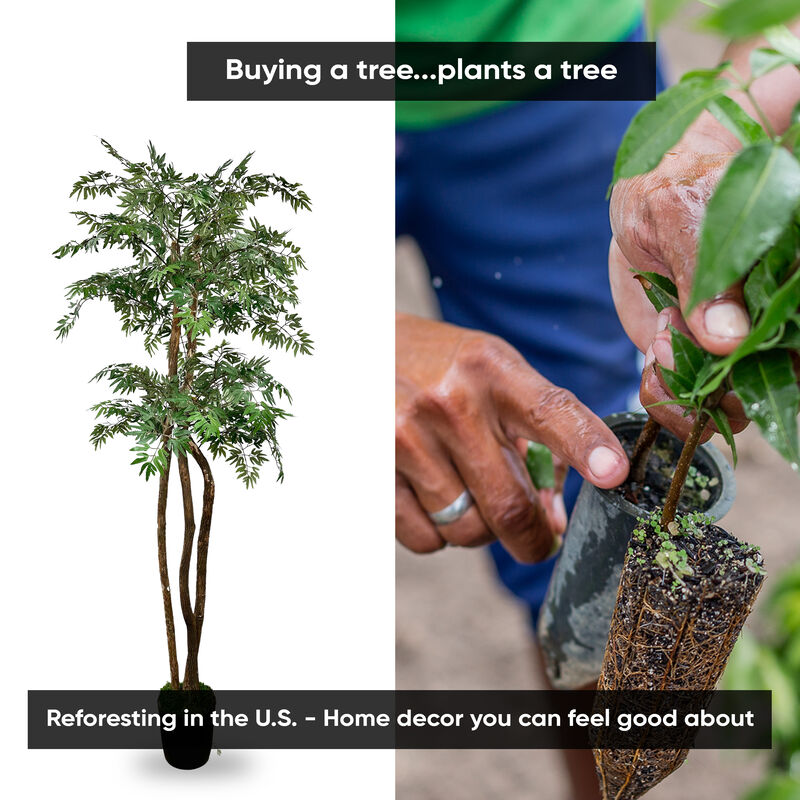 Handmade 6' Artificial Ming 2-Tier Tree In Home Basics Plastic Pot Made with Real Wood and Moss Accents