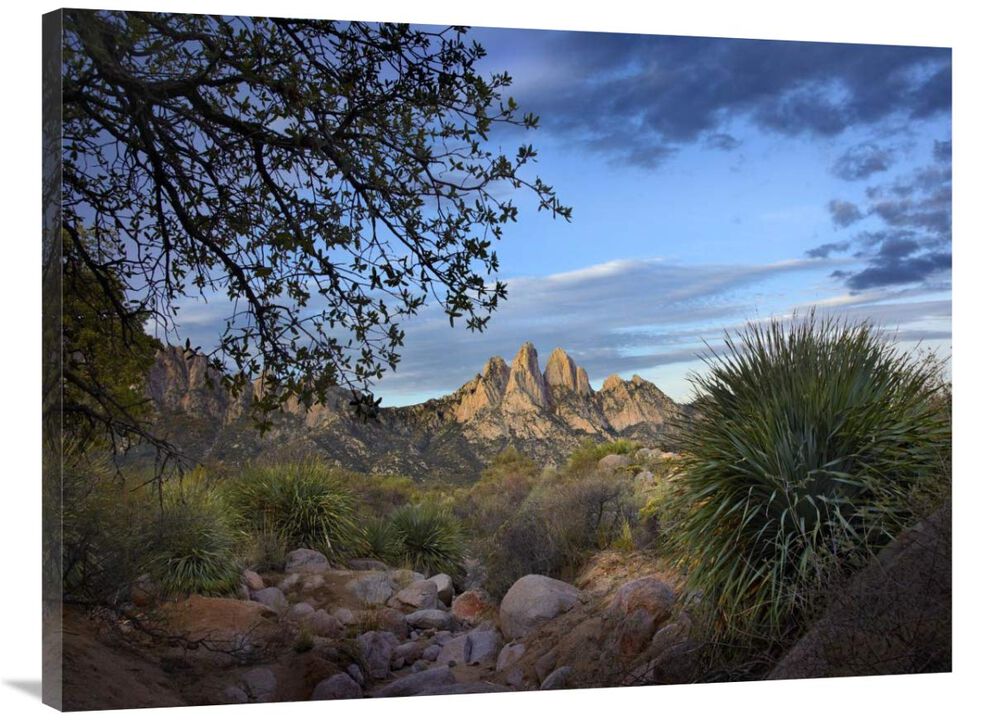 Organ Mountains near Las Cruces, New Mexico-Canvas Art-40x30