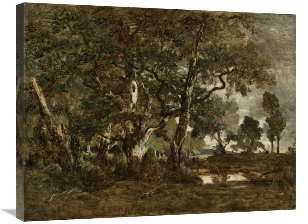 Forest of Fontainebleau, Cluster of Tall Trees Overlooking the Plain of Clair-Bois at the Edge of Bas-Breau-Canvas Art-32x24