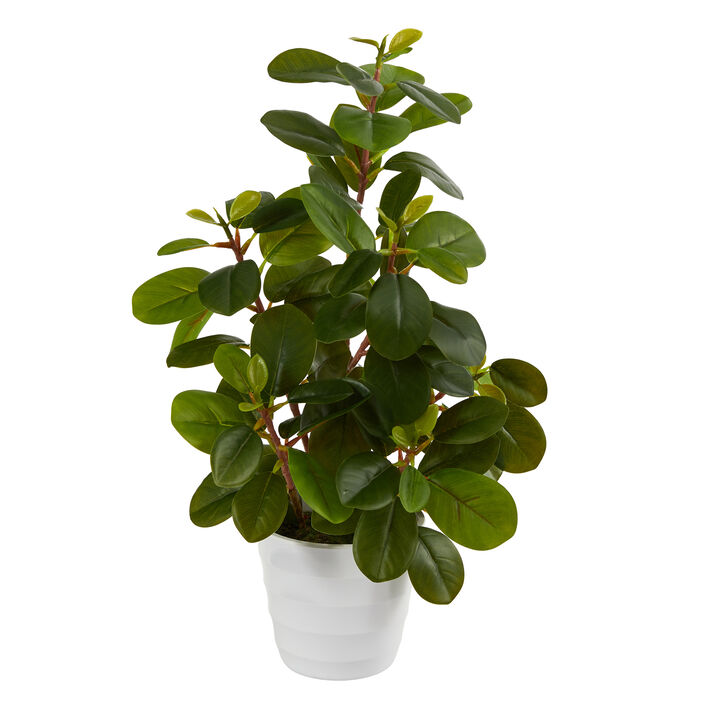 Hivvago 16" Peperomia Artificial Plant in Decorative Planter