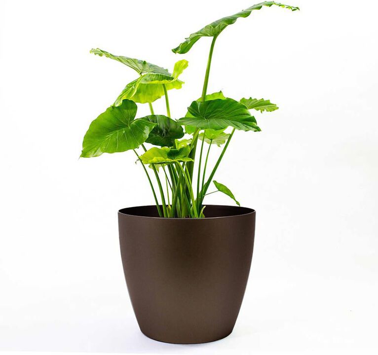 Greenline Manufacturing 15 Inch Memphis Round Planter Indoor Plastic Plant Pot, Black