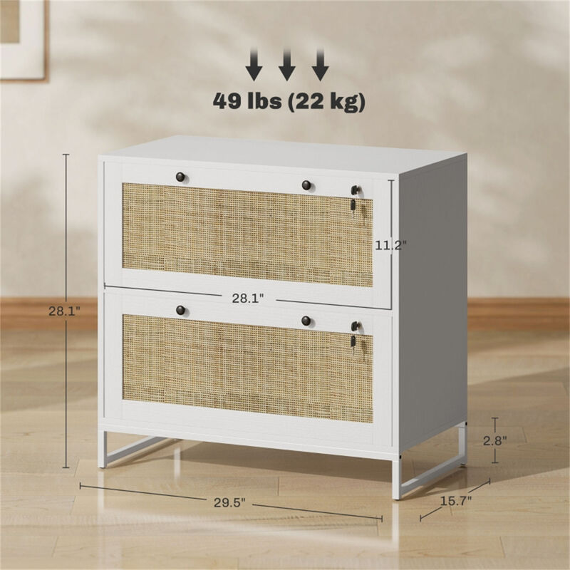 Multi-Purpose File Cabinet and Storage Cabinet for Home or Office