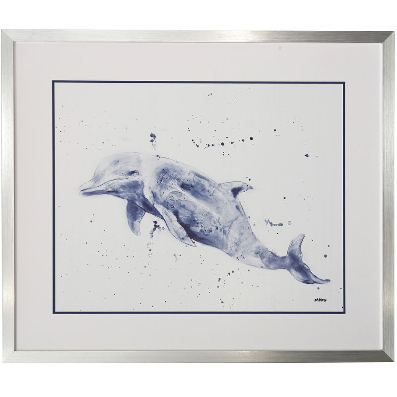 Ocean Life Dolphin Framed Print