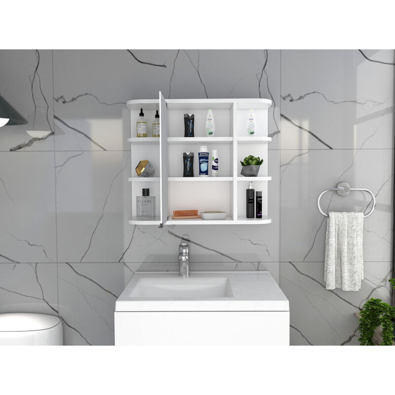 Roseburg 6-Shelf Medicine Cabinet With Mirror