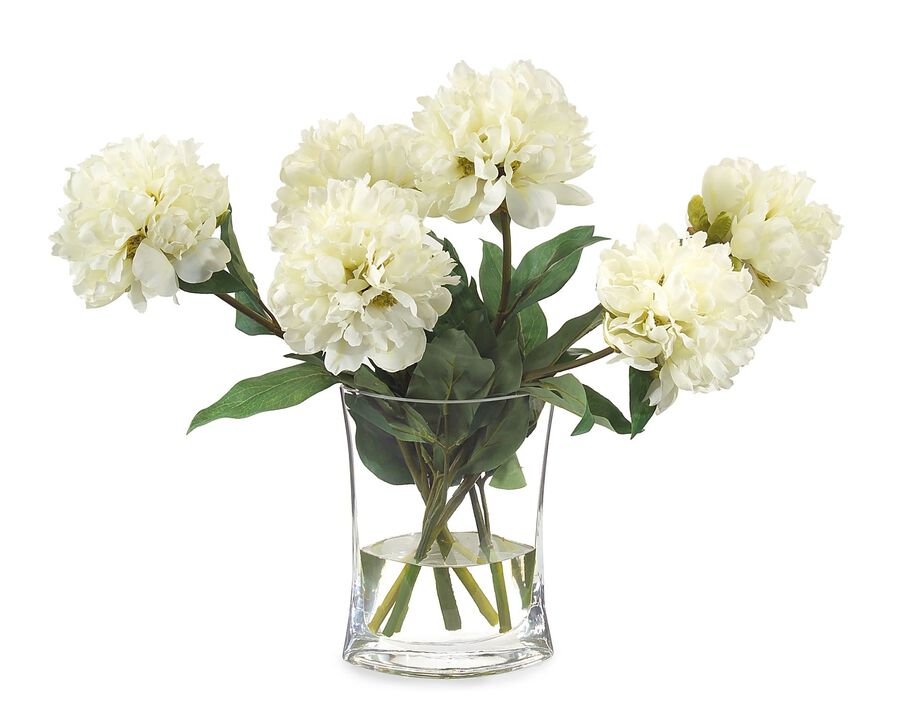 Heavenly Peonies