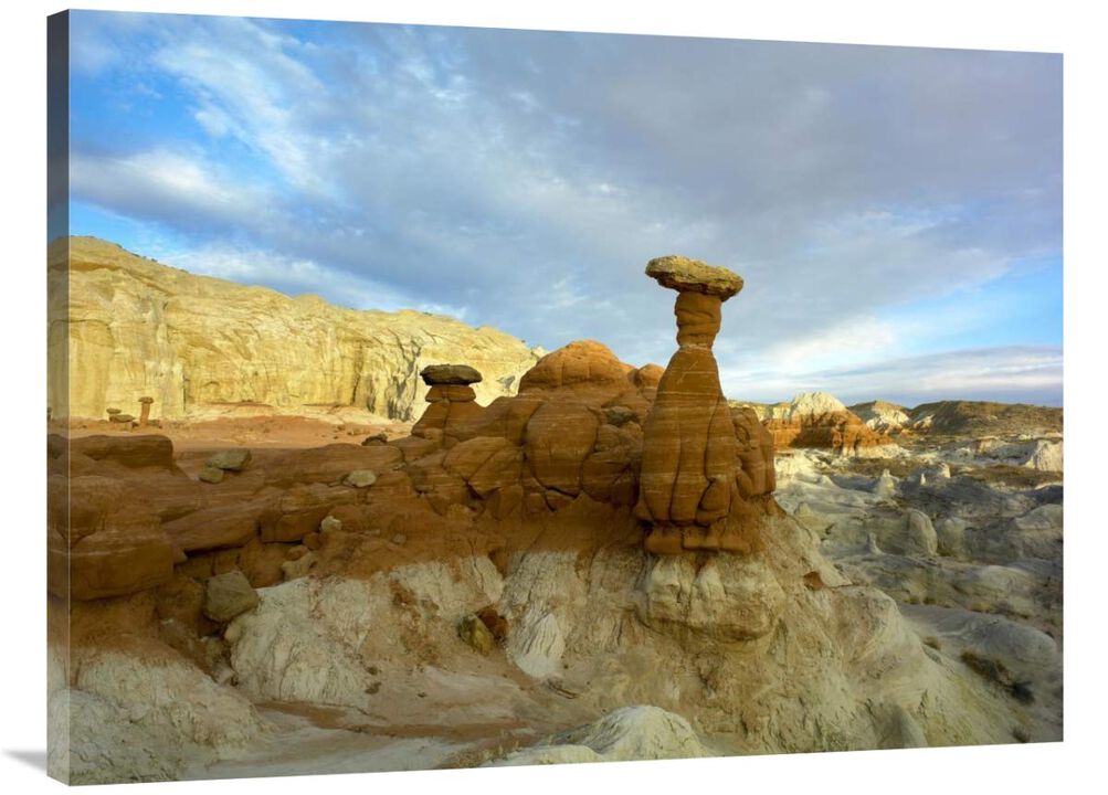 Toadstool Caprocks, Grand Staircase, Escalante National Monument, Utah-Canvas Art-40x30