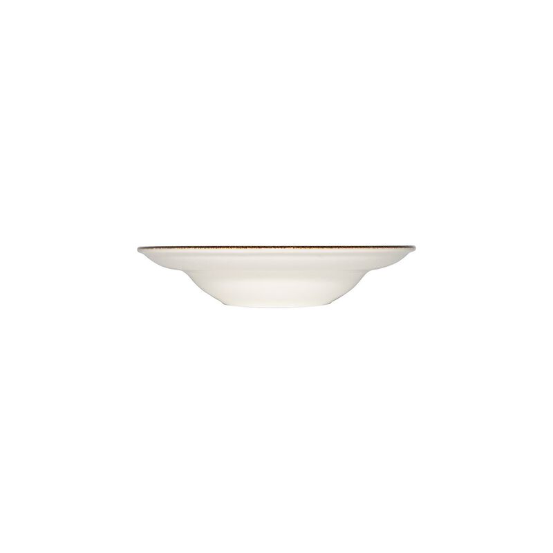 Tierra dia.10.75" h:2.25" 16 oz. Round Brown Porcelain Bowl (Set of 2)