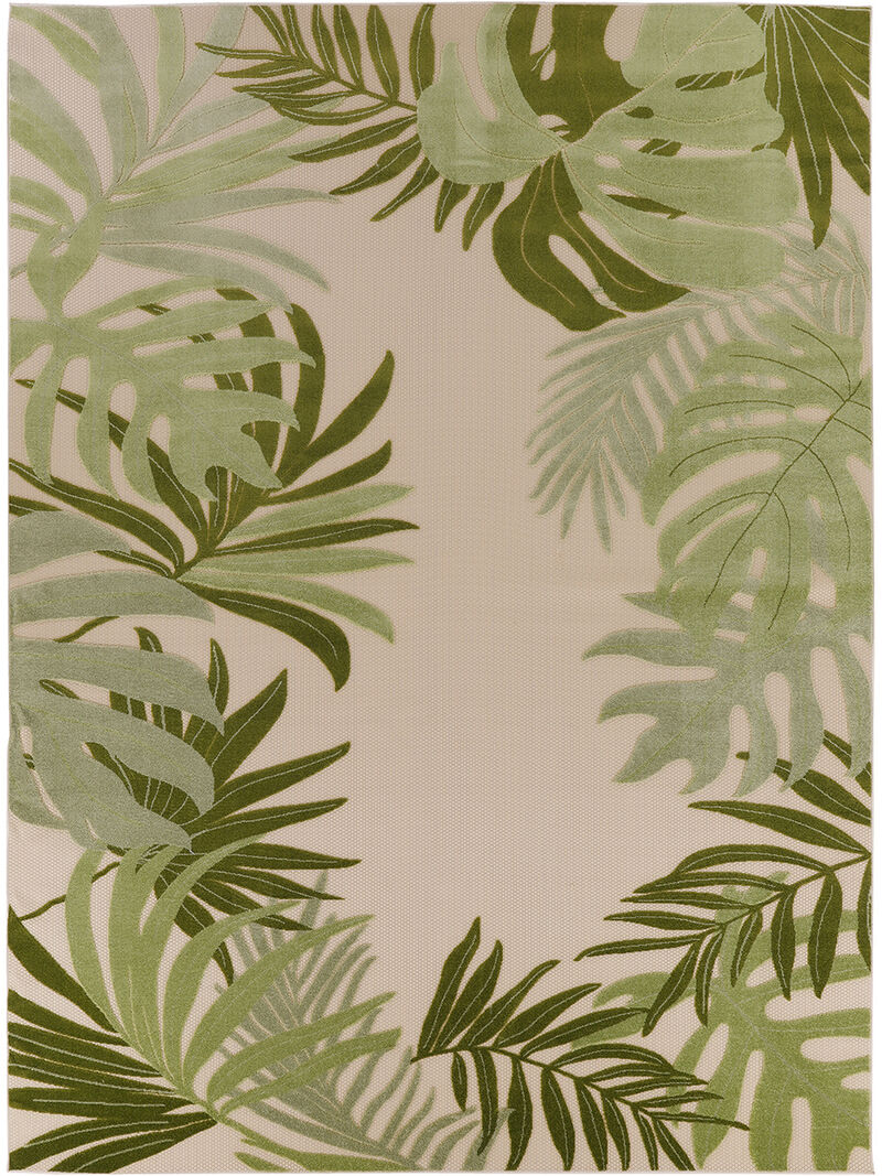 Aloha ALH40 Collection