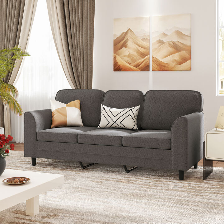 Upholstered Teddy 3-Seat Sofa with Comfortable Back Pillows for Cozy Living Room Decor