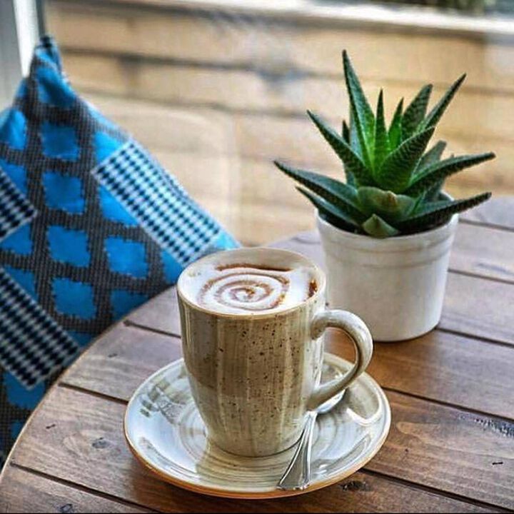 Terrain dia.3.25" h:4.25" 11 oz. Round Brown Porcelain Mug (Set of 4)