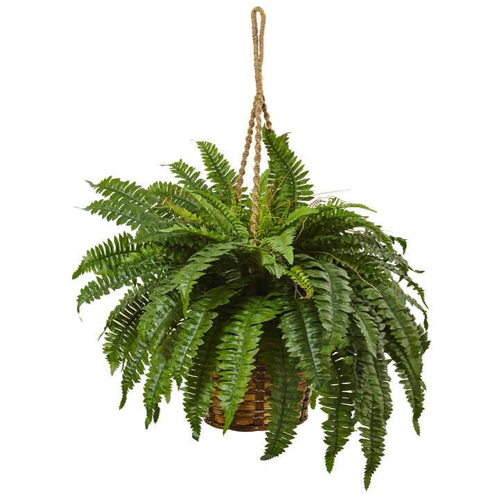 Hivvago Boston Fern Hanging Basket