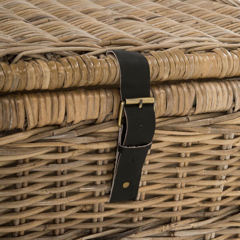 Caden Wicker Storage Trunk