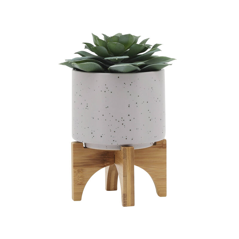 5" Planter with Wood Stand