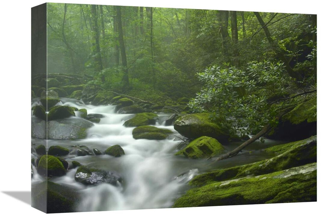 Roaring Fork River flowing through forest in Great Smoky Mountains National Park, Tennessee-Canvas Art-16x12