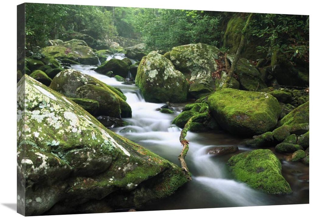 Roaring fork river, Great Smoky Mountains National Park, Tennessee-Canvas Art-32x24