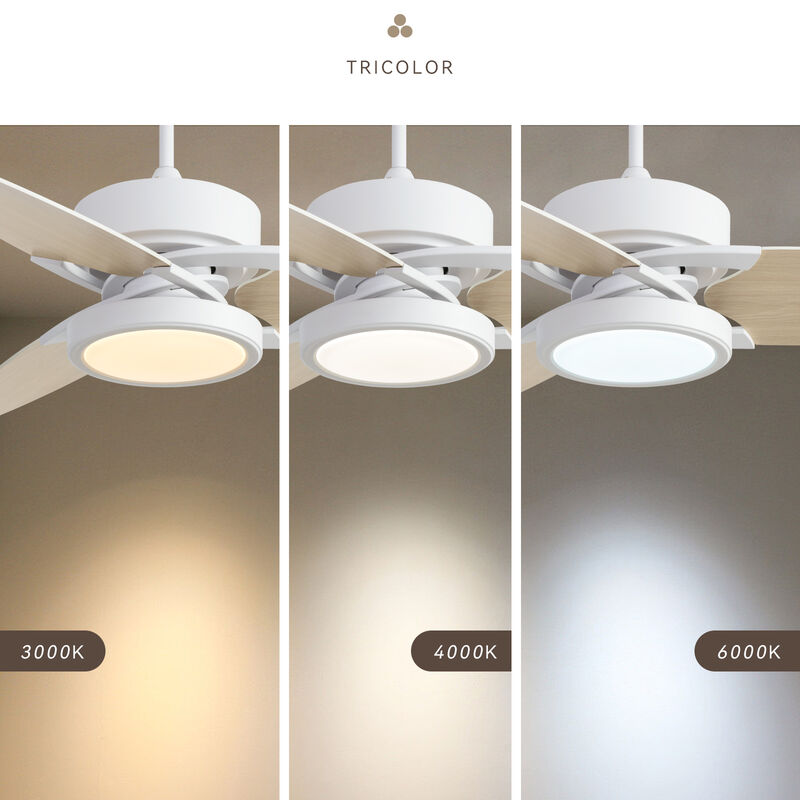 LED Indoor Smart Ceiling Fan with Remote Control Energy-Efficient, Stylish Cooling Solution for Home