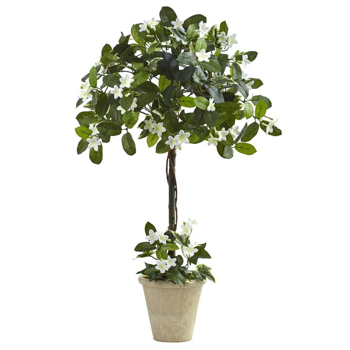 Hivvago 3" Stephanotis Topiary w/Planter